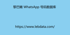 黎巴嫩 WhatsApp 号码数据库