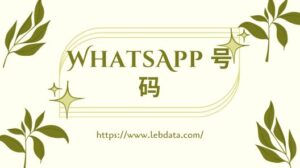 WhatsApp 号码