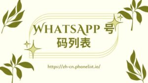 WhatsApp 号码列表