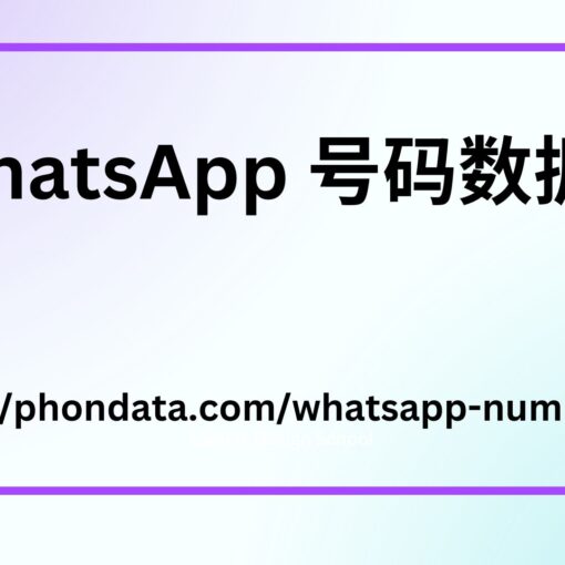 WhatsApp 号码数据