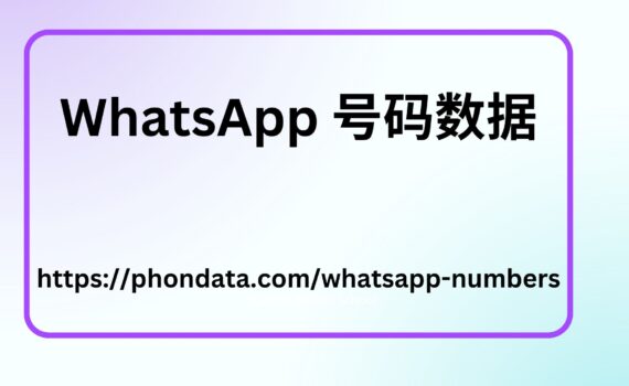 WhatsApp 号码数据